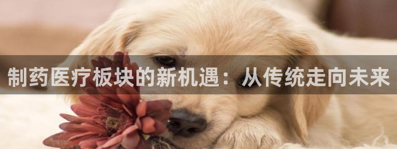 恒行2尤74OOO5