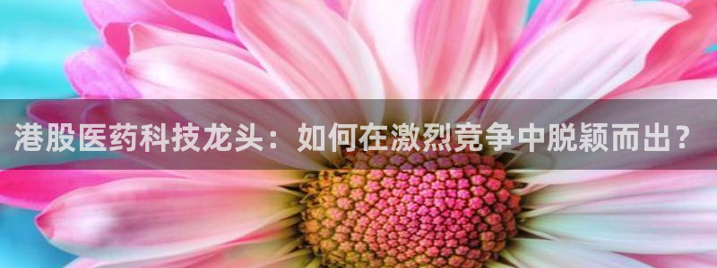 恒行主管总代6ll5l周至