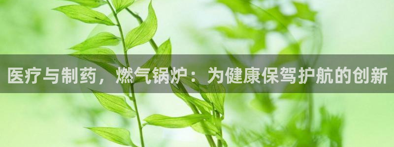 恒行娱乐河沂74ooo5程