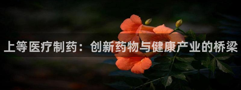 恒行彩票亏5千
