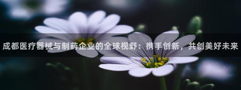 恒行2朱74OOO5