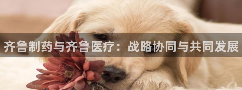 恒行娱乐河沂74ooo5程
