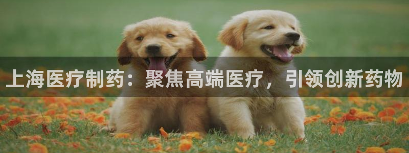 恒行2朱74OOO5