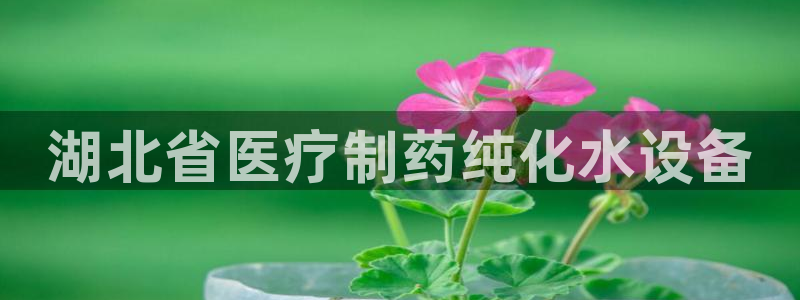 恒行注册全2O5O5O