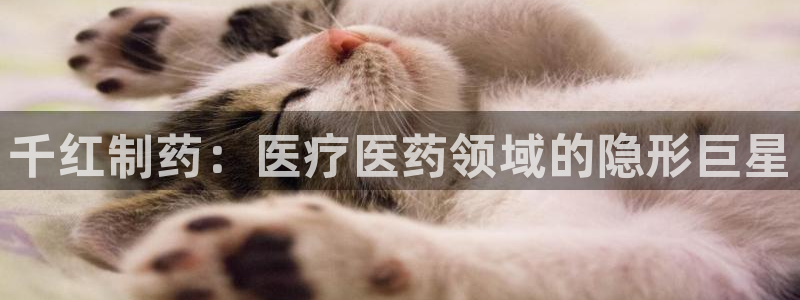 恒指5行情 如来再我心