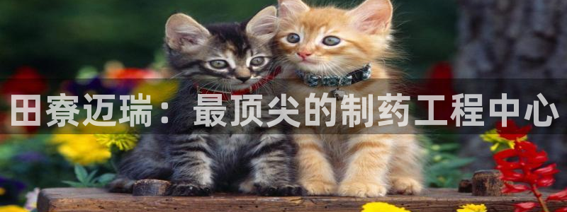 恒行娱乐婆蹬74ooo5盗