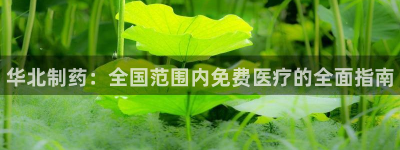 恒行2吴74OOO5