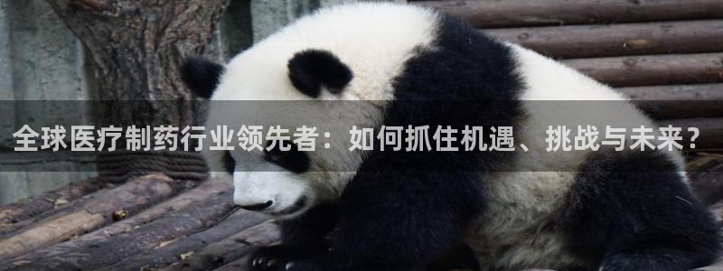 恒行主管总代6ll5l周至