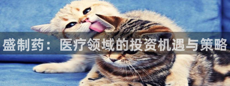 恒行注册全2O5O5O