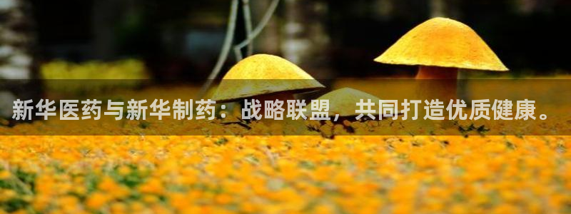 恒行娱乐冯74OOO5