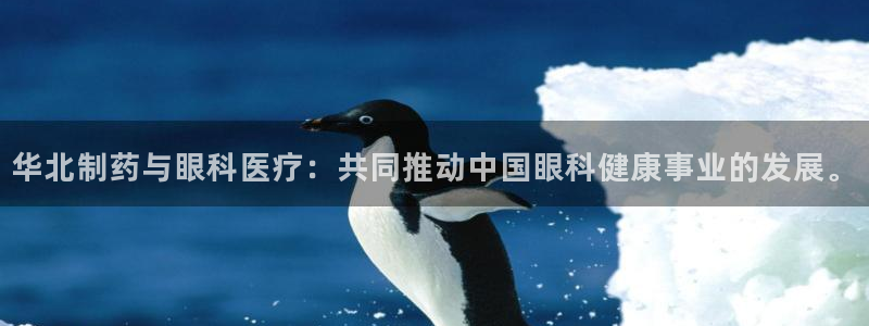 恒在5行中代表什么数字