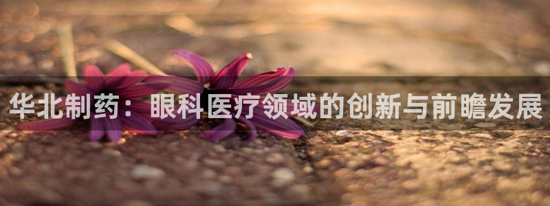 恒行登录就搜6ll5l