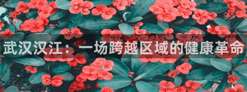 恒行主管首问6ll5l