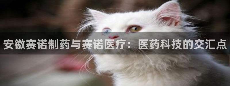 恒行主管招收 6ll5l出奇