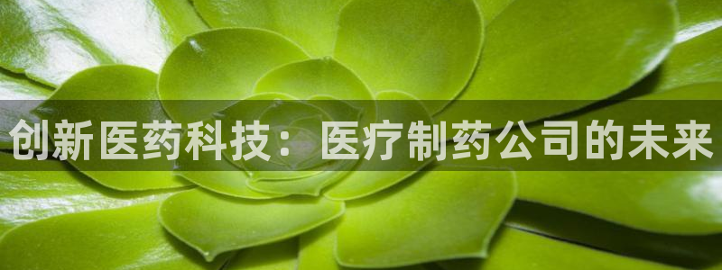 恒行开户娱乐赞议6ll5l