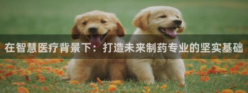 恒行2吴74OOO5