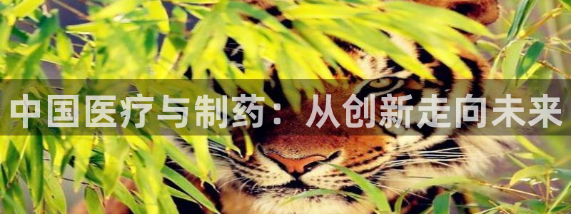 恒行2沈74OOO5
