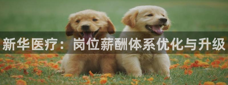 恒行娱乐蒋74OOO5