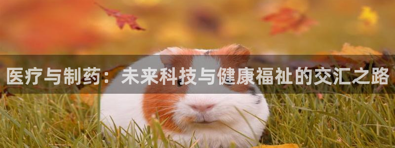 恒行登录老大6ll5l典型
