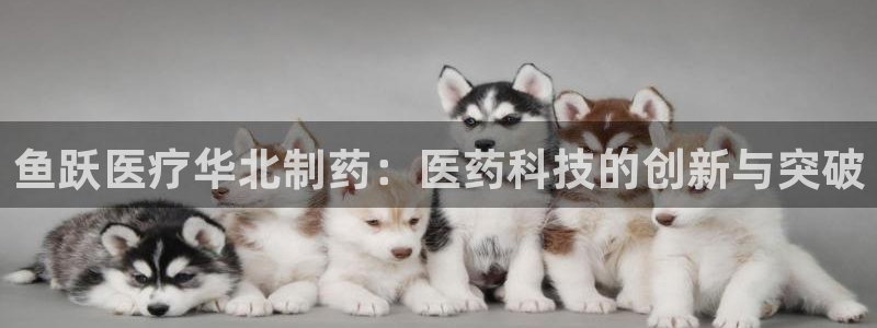 恒行娱乐招收点赞5ll533主管