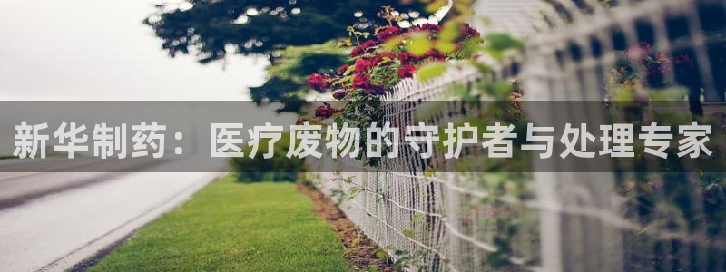恒行彩票亏5千